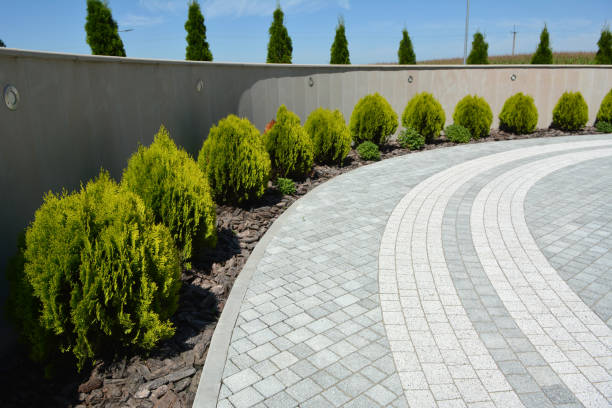 Best Driveway Paving Contractor  in Hyde, PA